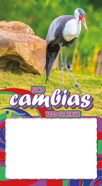 Almanaque Variedades Papel 1/6